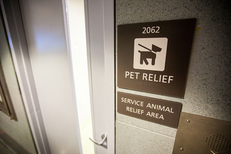 Service Animals in Airports