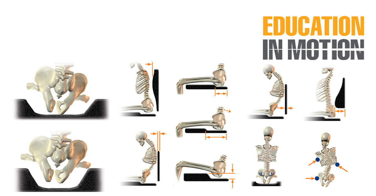 Seating Position Names Seating Shapes | Education in Motion | Sunrise Medical