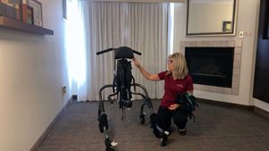 Leckey MyWay Gait Trainer Overview