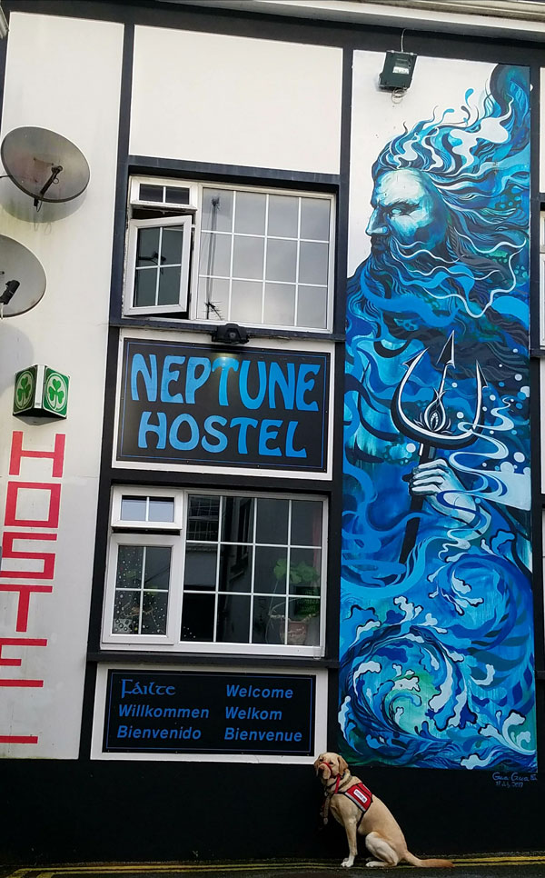 The Neptune Hostel