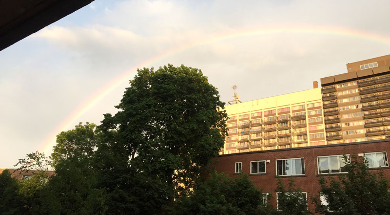 A rainbow outside of Alison's apartment
