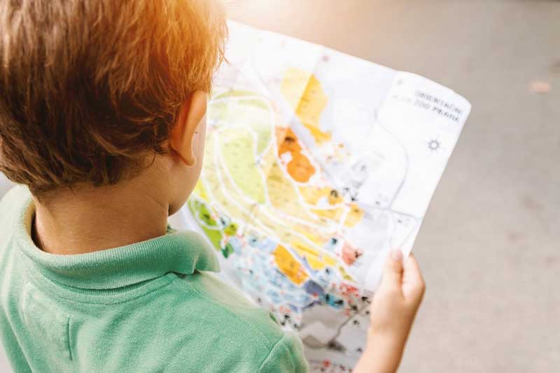 Young child looking at a map