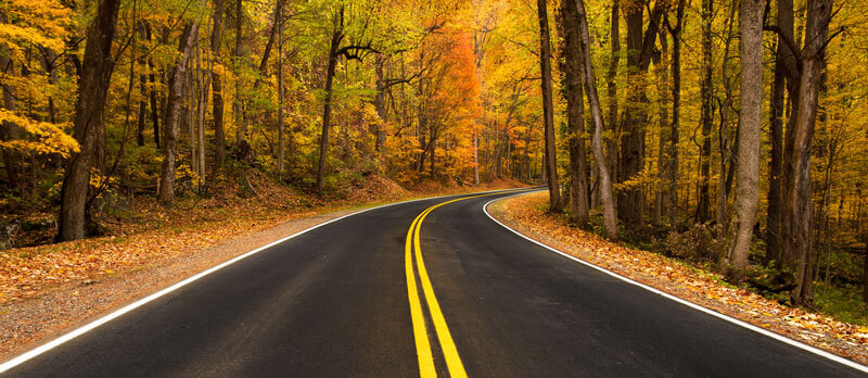 A road cutting through a forest in autumn