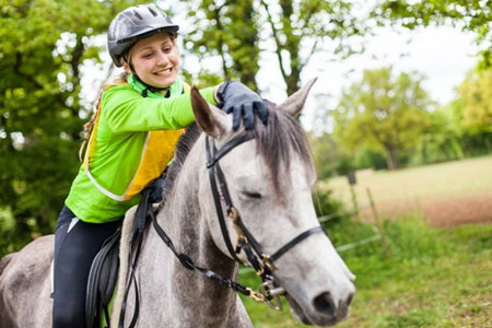 The Therapeutic Background of Equine Therapy